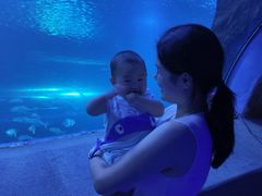 -太平洋海底世界