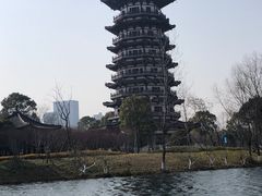 -洋湖国家湿地公园