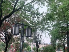 -顺峰山公园