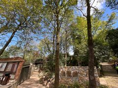 -岳麓山风景名胜区