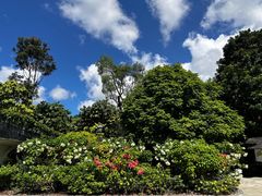 -新加坡植物园