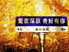 -森林公园(尖草坪区)