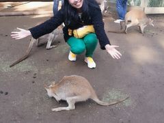 -费瑟代尔野生动物园