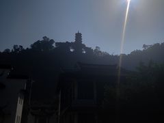 -南沙蒲洲花园