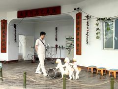 -南戴河国际娱乐中心