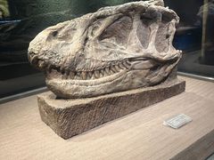 -自贡恐龙博物馆