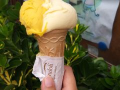 芒果百香果冰激凌-Gelateria Dondoli
