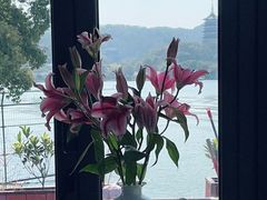 -柳莺湖上·湖景餐厅·江南菜(西湖店)