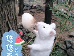 -阳台山自然风景区