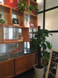 -爱儿美儿童摄影(朝阳公园店)