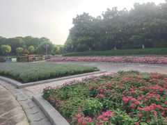 -上海鲜花港