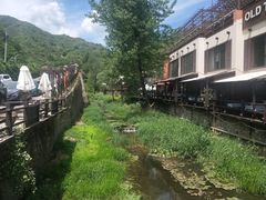 -Local泰莲庭(虹鳟鱼店)