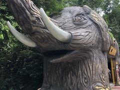 -野象谷景区