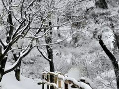 -鲁山国家森林公园