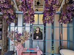 -喵屿·大理花园猫咖