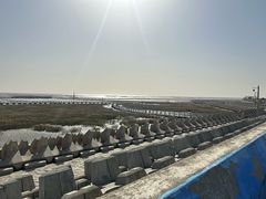 -南汇嘴观海公园