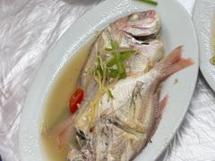 -老三鱼仔店