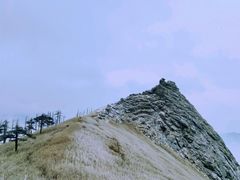 -秦岭风景区