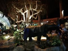 -清迈夜间动物园