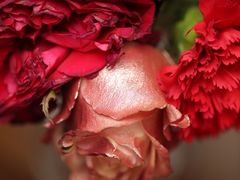 -格蕾花坊(民盈·国贸城店)