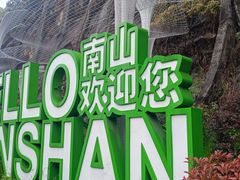 -南山植物园