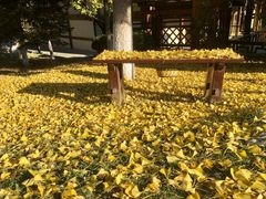 -金石唐风国际温泉会馆