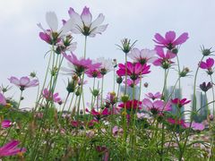 -成都中医药大学(温江校区)