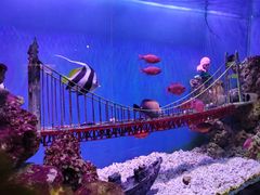 -太平洋海底世界