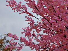 -首开·龙湖成都西宸天街