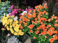 -ChaKo Flora ·茶子花艺 (市北店)