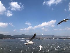 -海埂大坝