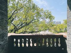 -江心屿景区