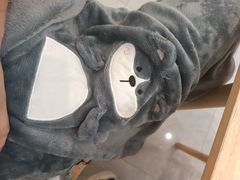 -柴犬小屋·柴餐厅·狗咖食堂(金鼎广场店)