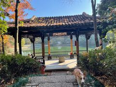 -杭州半山国家森林公园