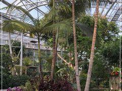 -北京植物园-展览温室