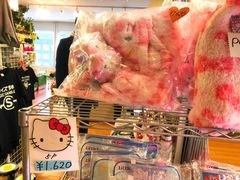 -札幌电视塔