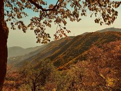 -香山公园
