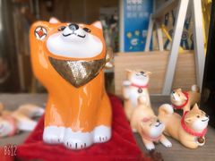 -柴犬高等学院·狗咖·柴犬售卖·宠物训练