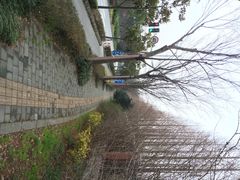 新江湾城公园-新江湾城公园