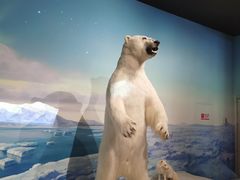 -陕西自然博物馆