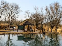 -西溪国家湿地公园