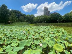 -东山湖公园