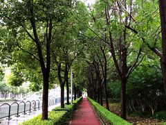 -五峰书院(南洋泾路店)