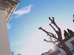 -阿尔罕布拉宫