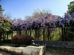 -敬亭山风景名胜区