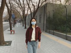 -三里屯东五街银杏大道