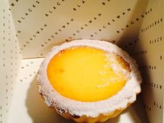 伊派-BLACKSWAN黑天鹅(环球店)