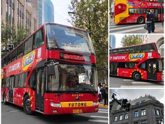 -BUS TOUR观光巴士