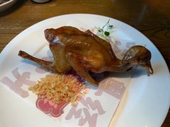 -大鸽饭(岗顶店)