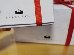 -BLACKSWAN黑天鹅(环球店)
